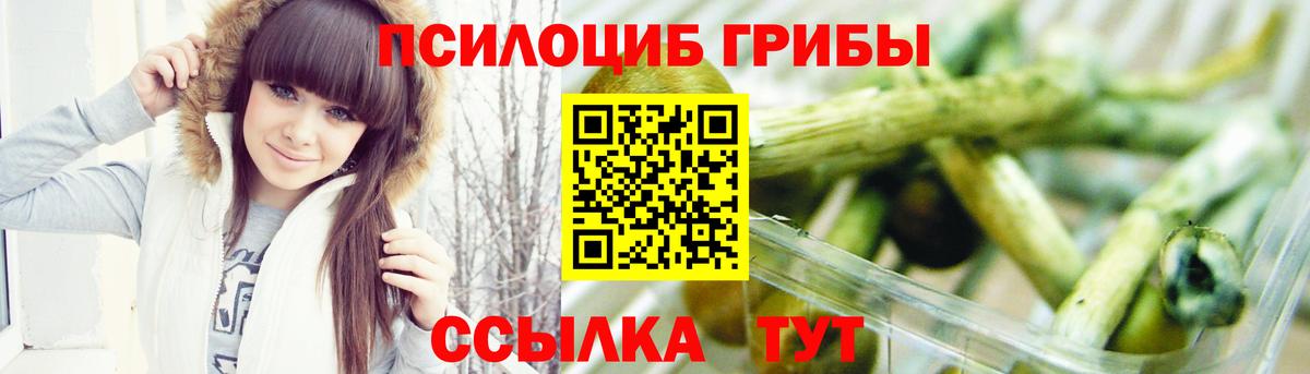 Каменск-Уральский  Псилоцибиновые грибы прущие грибы  Вход с VPN 